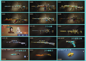 8传说女帝灵眸7把幻神冠军之幻白鲨青鹤9皮+全音★风神星神璀璨AG白虎冠军之薇3特刃炽芒蝶刃6盘烈隼_穿越火线_网通区_河北一区