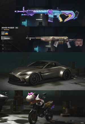 禁排阿斯顿马丁跑车【二成长型✌魔咒之力MK12✌二级时光加农SKS】大金牙✌渔夫帽✌窒息的爱套装✌_绝地求生_全区_全服