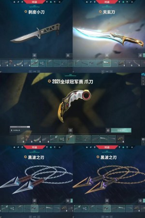 禁排位⭐混沌序幕AK⭐海洋之星鱼缸AK⭐剥皮小刀⭐21冠军爪刀⭐黑波之刃⭐天玄刀⭐盖亚AK⭐21_无畏契约_WeGame_WeGame