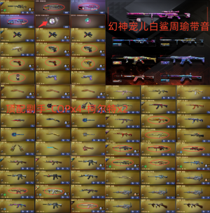 58豆丨幻神宠儿白鲨3皮+音效卡丨COPx3+世冠特×2丨6炼狱丨QBZ白鲨白虎丨四防角色_穿越火线_电信区_上海一区