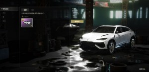 可排位✅兰博基尼联名车✅炫酷陈列室✅踱金AK分秒M4幸运SKS愉悦102k_绝地求生_全区_全服_1