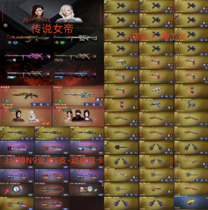 3幻神N9宠儿9皮带音❤女帝艾丽莎-夜影圣灵❤小满副手-神工x6❤风势白虎魄风神武当❤6盘烈蝴蝶小刚_穿越火线_电信区_江苏一区